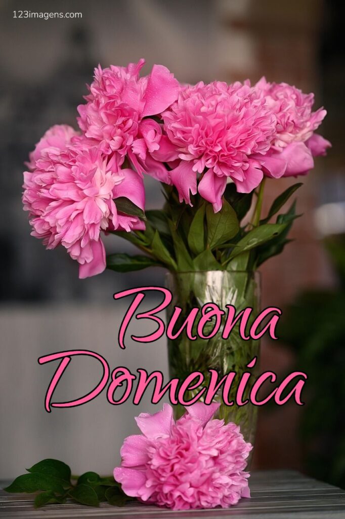Buona Domenica 9 Buona Domenica 10 Buona Domenica
