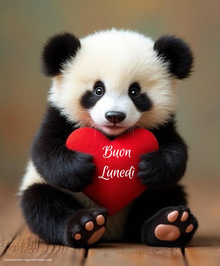 Immagini Buon Lunedì 4 Immagini Buon Lunedi 4 Immagini Buon Lunedì