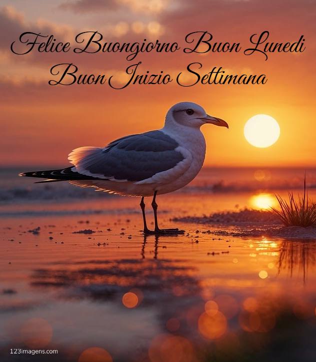 100+Felice Buongiorno Buon Lunedi Buon Inizio Settimana 11 Felice Buongiorno Buon Lunedi Buon Inizio Settimana 5 Felice Buongiorno Buon Lunedi