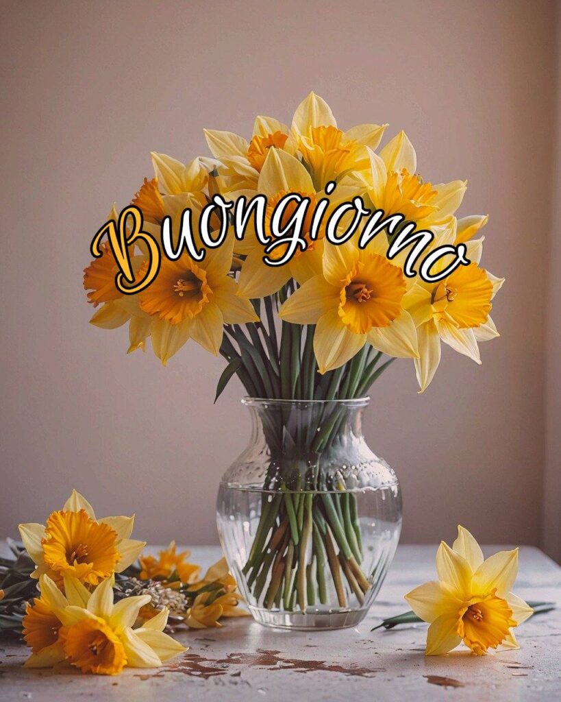 100+Buongiorno Amore Mio 13 buongiorno amore mio 121 Buongiorno Amore Mio
