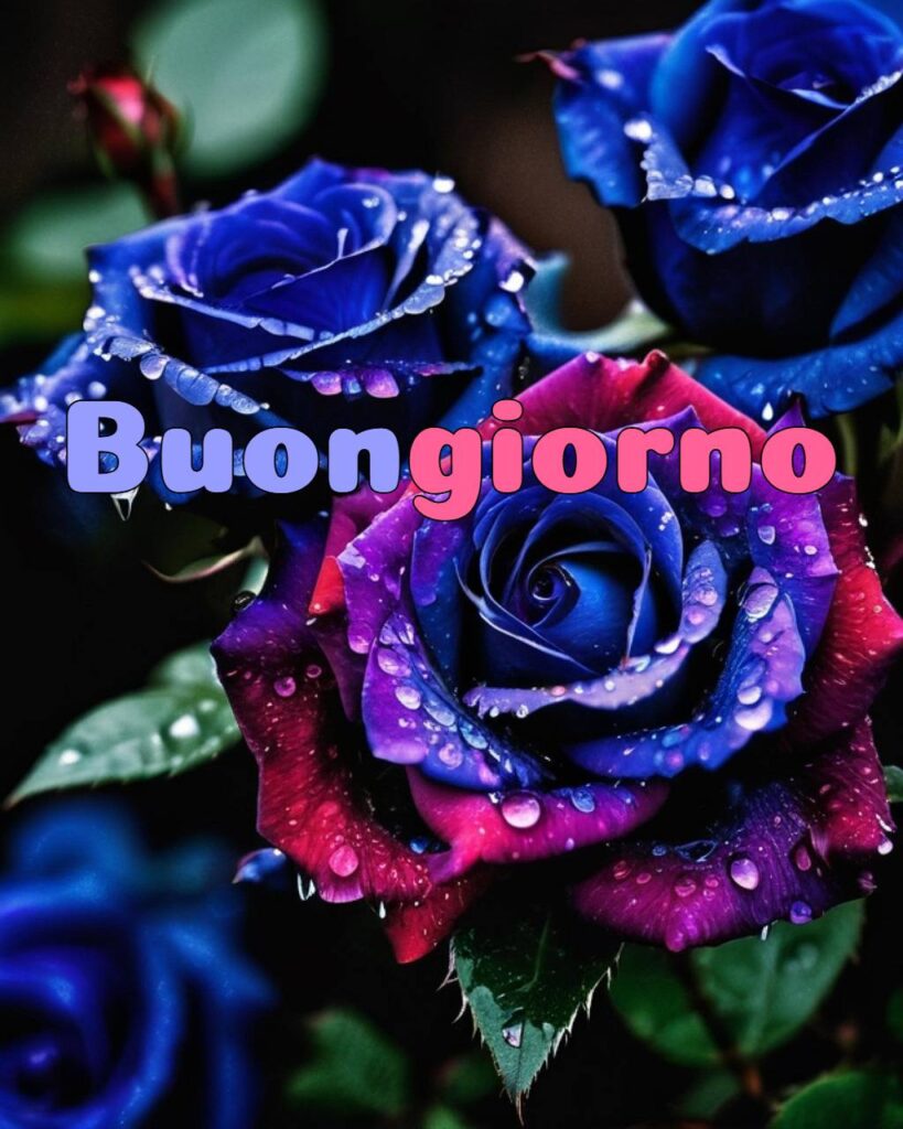 100+Buongiorno Amore Mio 121 buongiorno amore mio 13 Buongiorno Amore Mio
