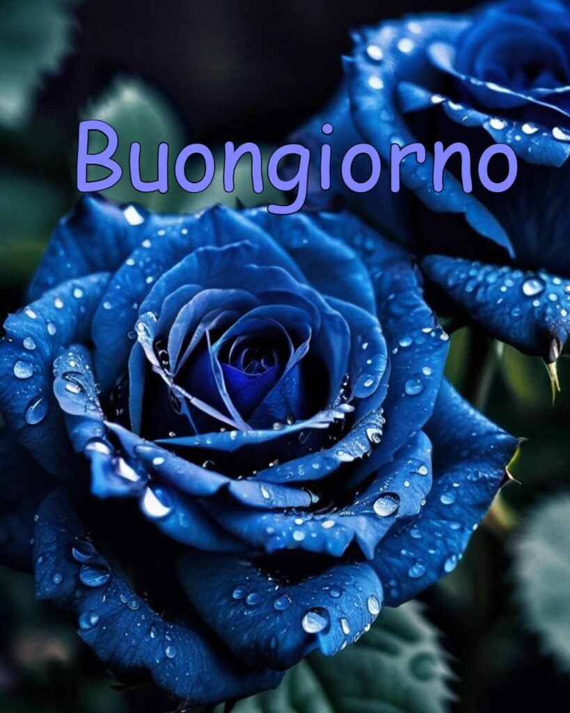 100+Buongiorno Amore Mio 120 buongiorno amore mio 14 Buongiorno Amore Mio
