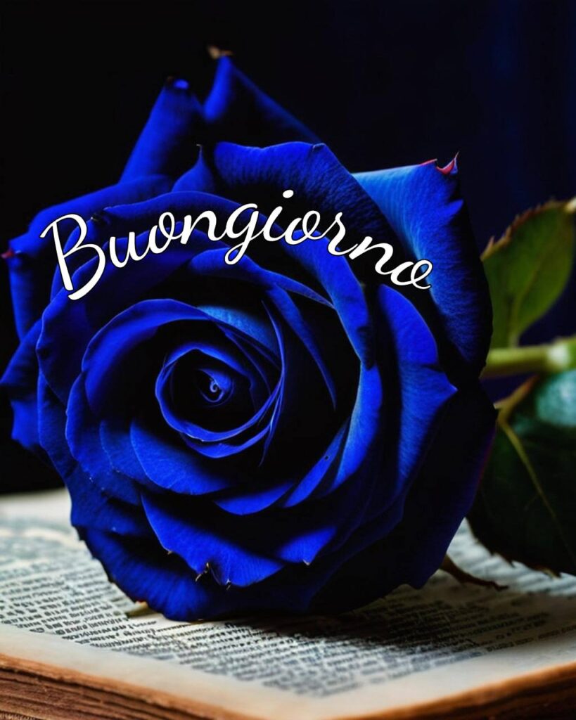 100+Buongiorno Amore Mio 118 buongiorno amore mio 16 Buongiorno Amore Mio