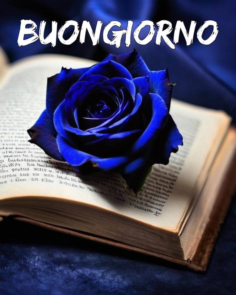 100+Buongiorno Amore Mio 117 buongiorno amore mio 17 Buongiorno Amore Mio