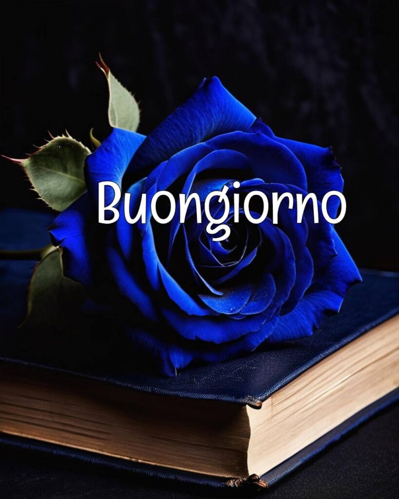 100+Buongiorno Amore Mio 115 buongiorno amore mio 19 Buongiorno Amore Mio