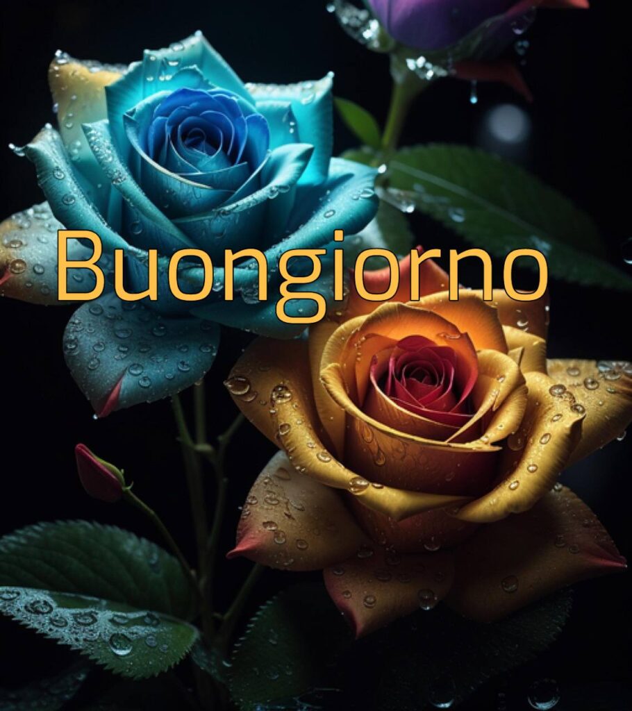 100+Buongiorno Amore Mio 112 buongiorno amore mio 22 Buongiorno Amore Mio