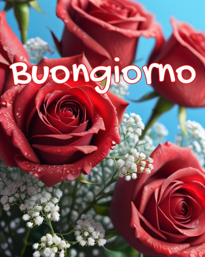 100+Buongiorno Amore Mio 110 buongiorno amore mio 24 Buongiorno Amore Mio