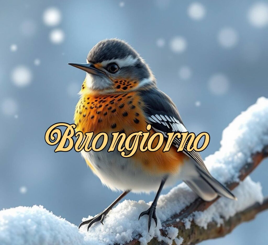 100+Buongiorno Amore Mio 64 buongiorno amore mio 70 Buongiorno Amore Mio