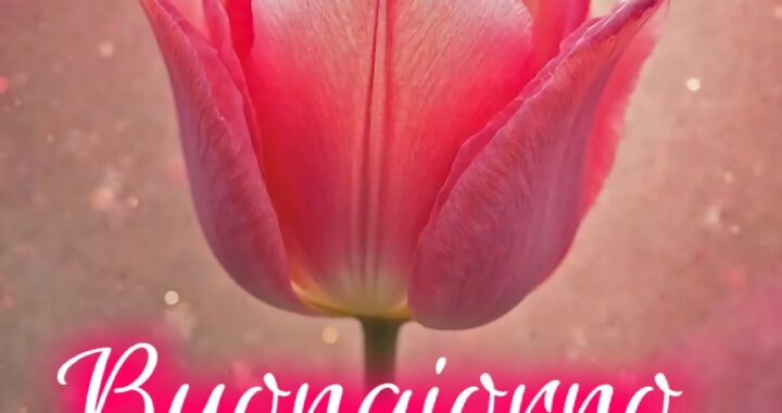 Le Ali Del Sorriso Buongiorno immagini Nuove Gratis Whatsapp