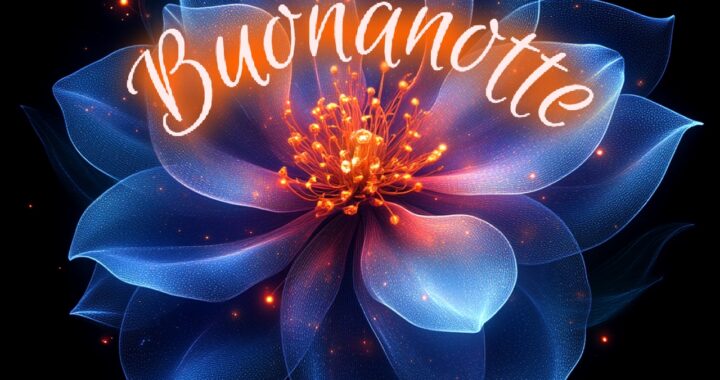 pietra bianca nuovissimo buonanotte immagini recenti