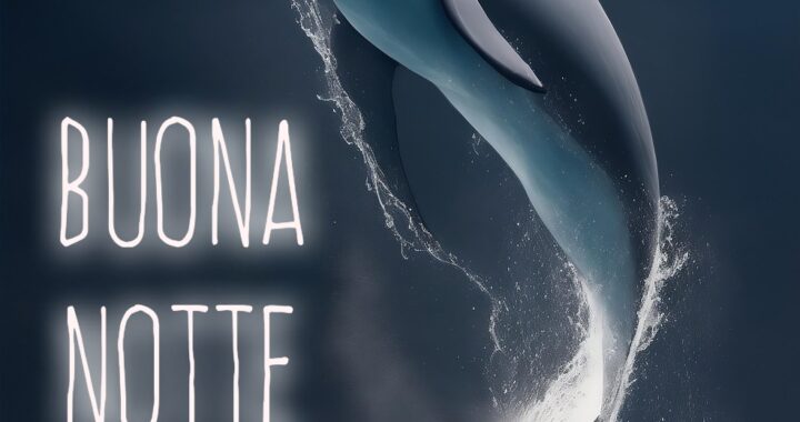 nuovissimi buonanotte la pietra bianca